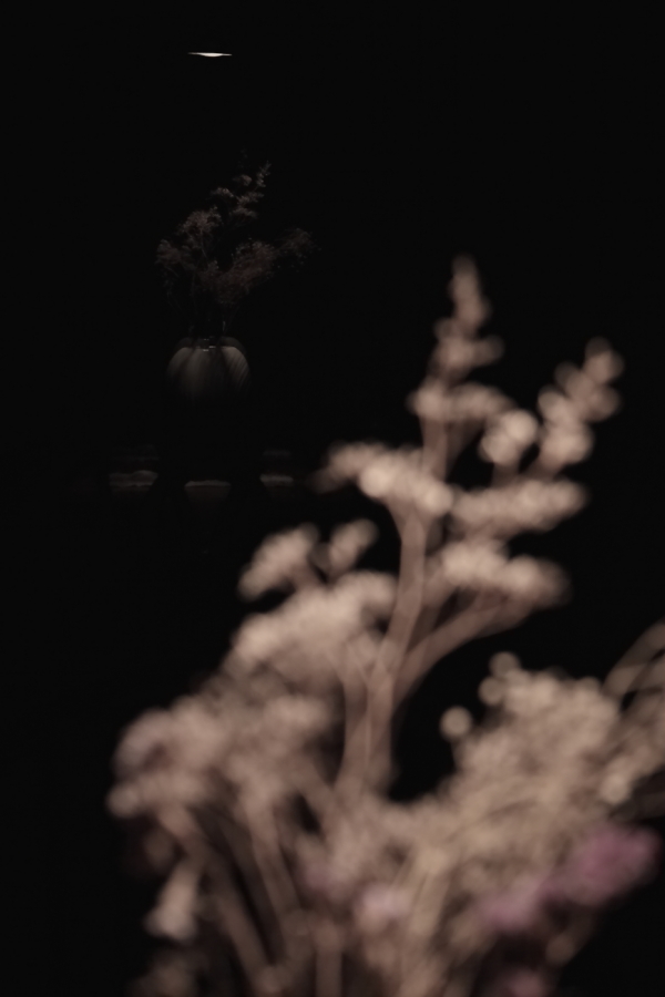 2013 01 28 IMG 2791e